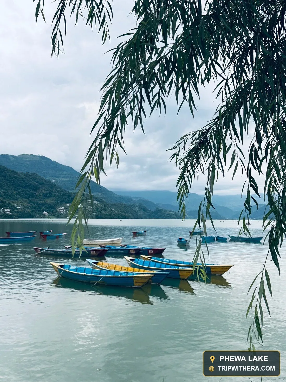 Phewa Lake