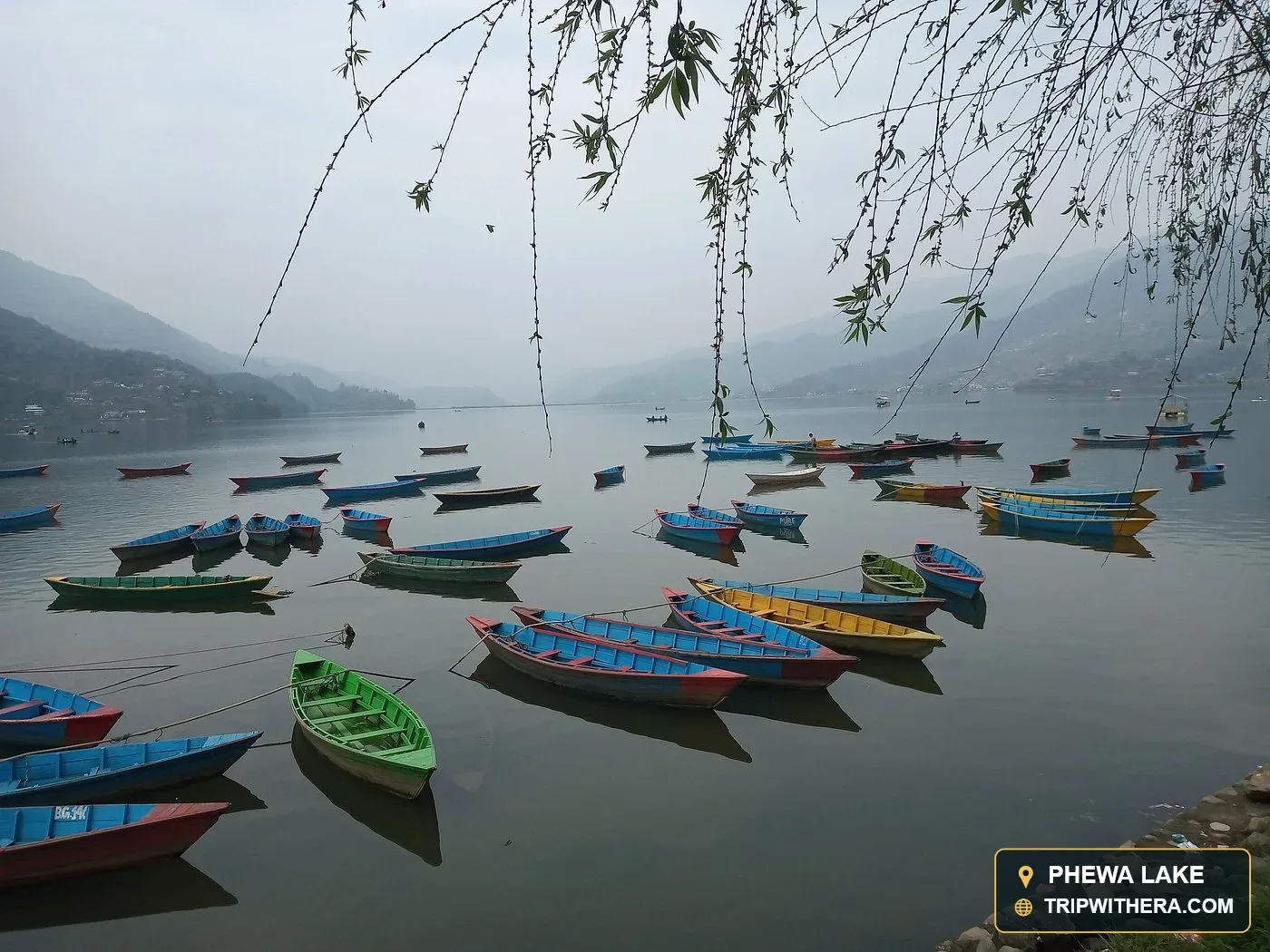 Phewa Lake