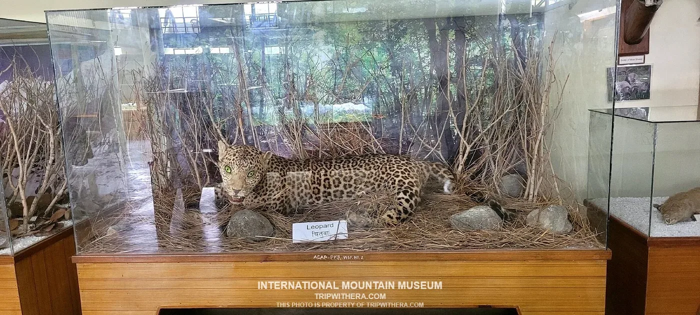 International Mountain Museum