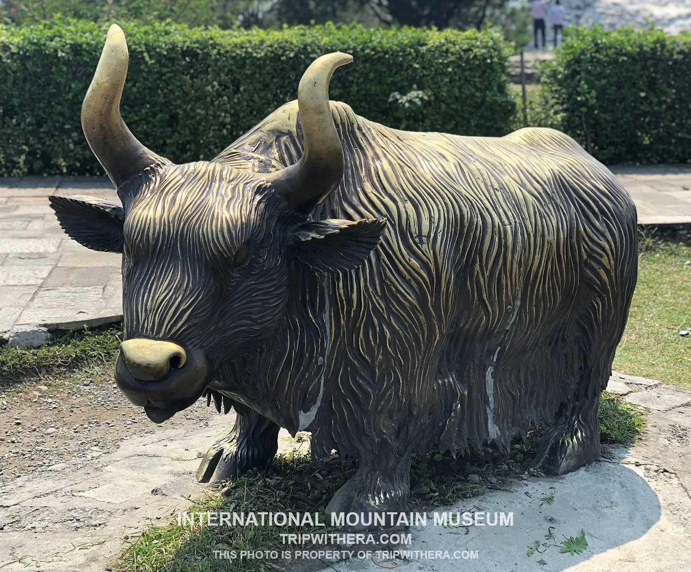 International Mountain Museum