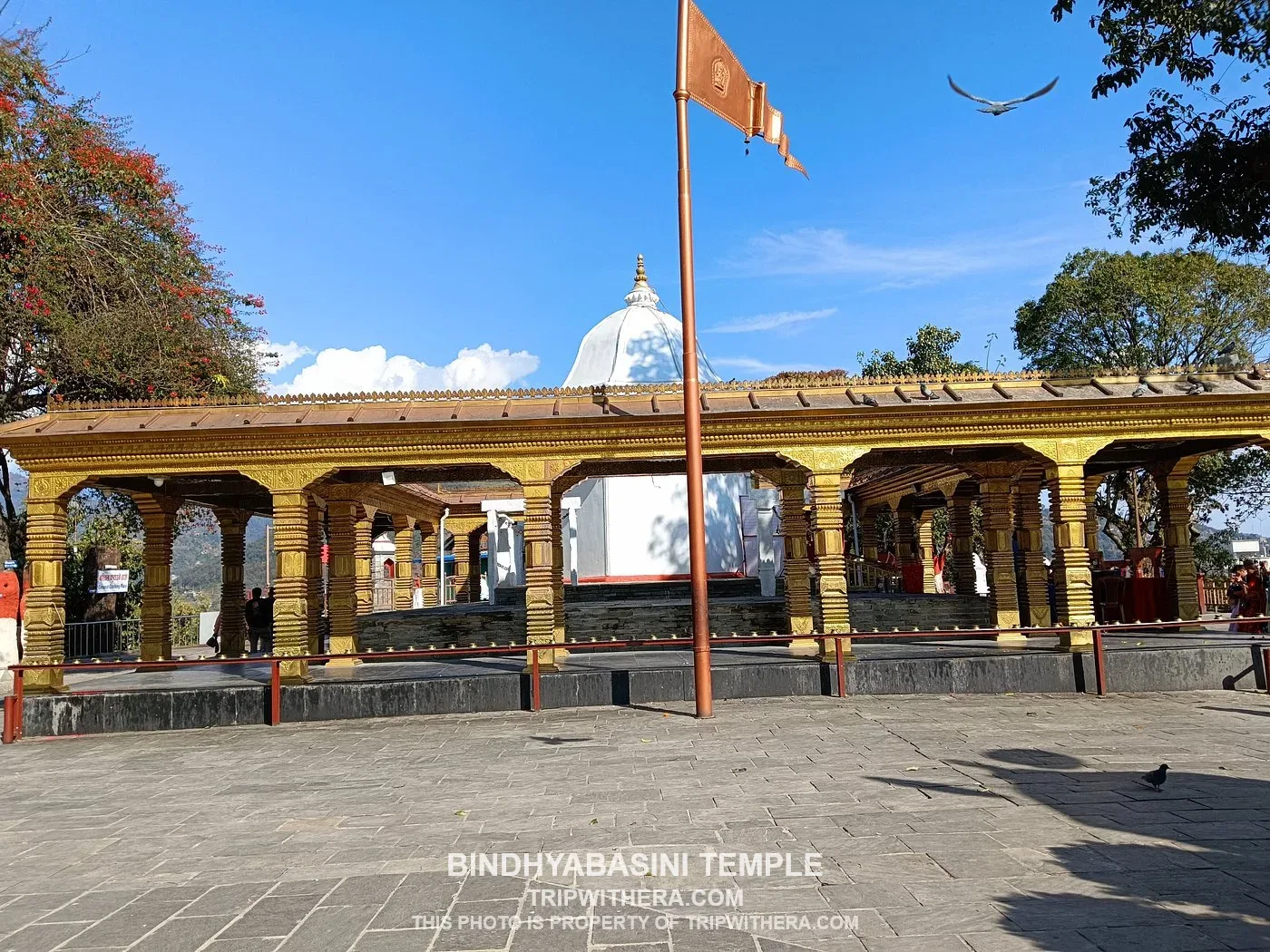 Bindhyabasini Temple