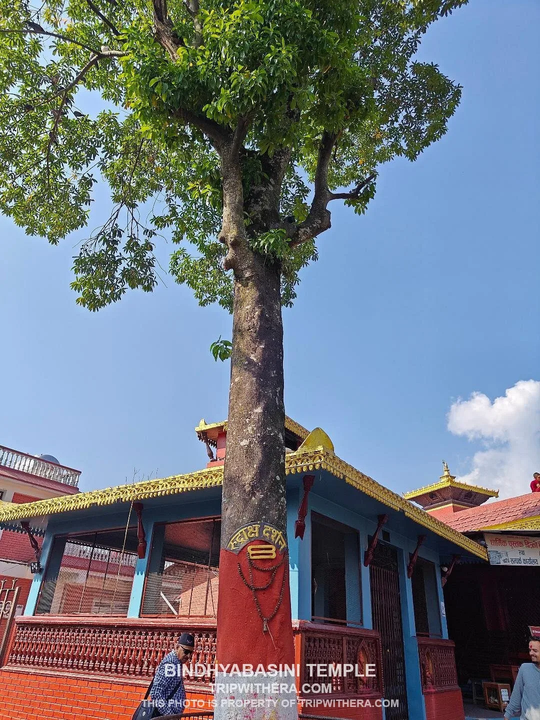 Bindhyabasini Temple