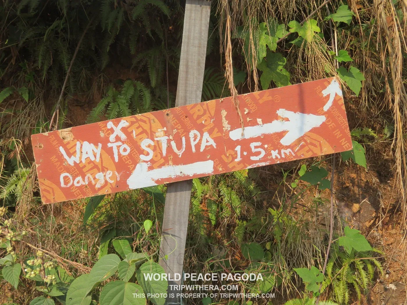 World Peace Pagoda